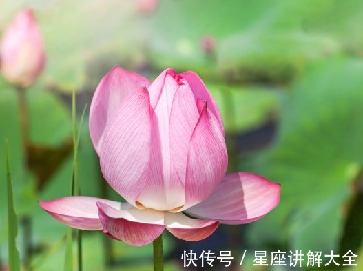 属相|进入9月，4属相吉星关照，桃花朵朵，富贵进门，生活充满希望