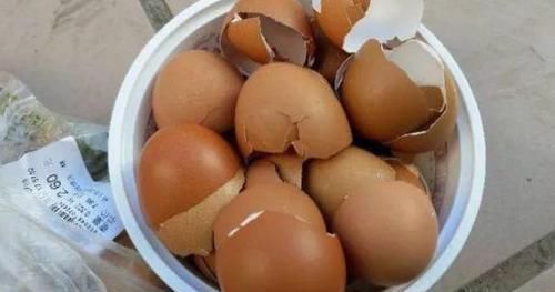 养花:保证养一盆旺一盆?更换盆栽土添上这个好东西,没问题