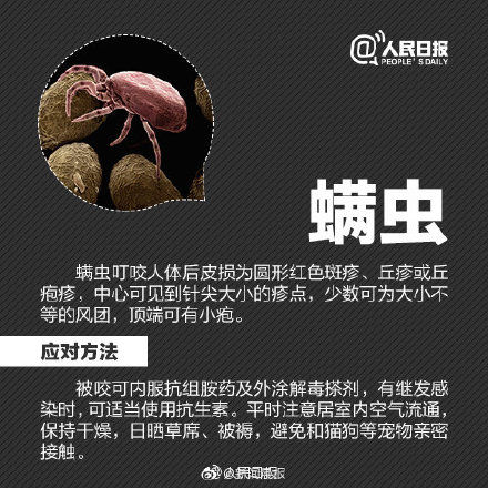 凌女士|超全防虫急救指南