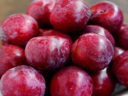 李子|肝不好的人,早晚常吃这“4物”,排毒明目,肝脏可能越来越干净