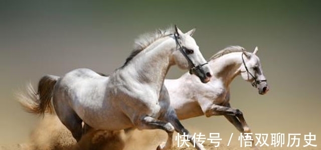 骗术!历史上唯一的骗术著作,看了这本书,再也不会上当受骗