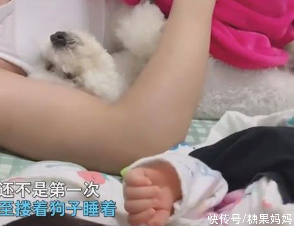 家庭亲子陪伴白皮书|奶爸哄娃错把狗子搂在怀，父爱如“山体滑坡”，孩子是“意外”？