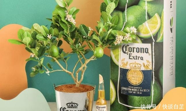 咖啡|不是吧,内衣做咖啡了?