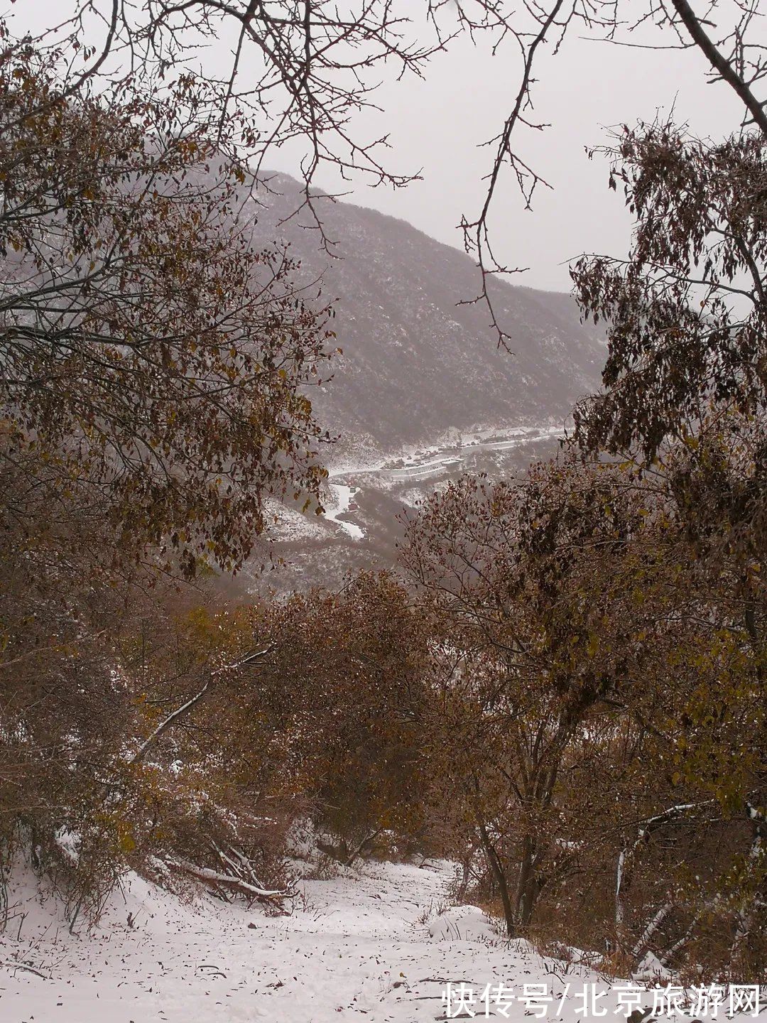 第一场雪|门城一夜雪，万山披银装！