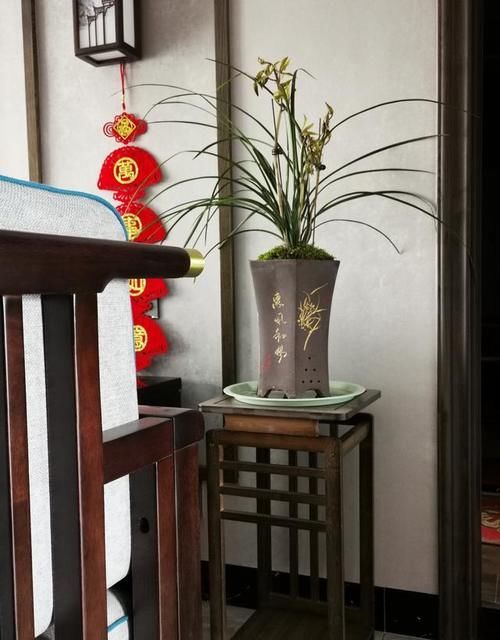 养花，盆底托盘加水可以不用浇水吗？怎么样？