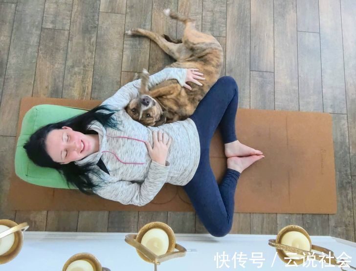 宠物|姿势比人类还专业?20个「宠物做瑜伽」的爆笑瞬间