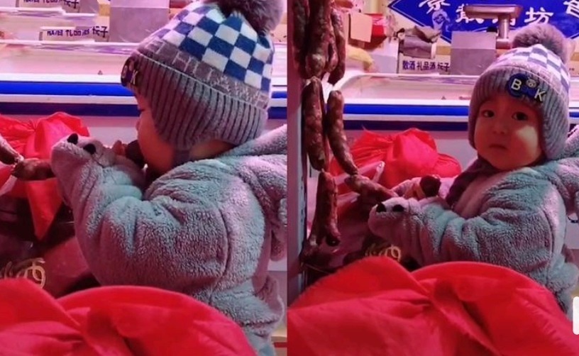 家长|“贪吃宝宝”走红,菜市场偷啃猪头肉和腊肠,老板看见却笑得不行