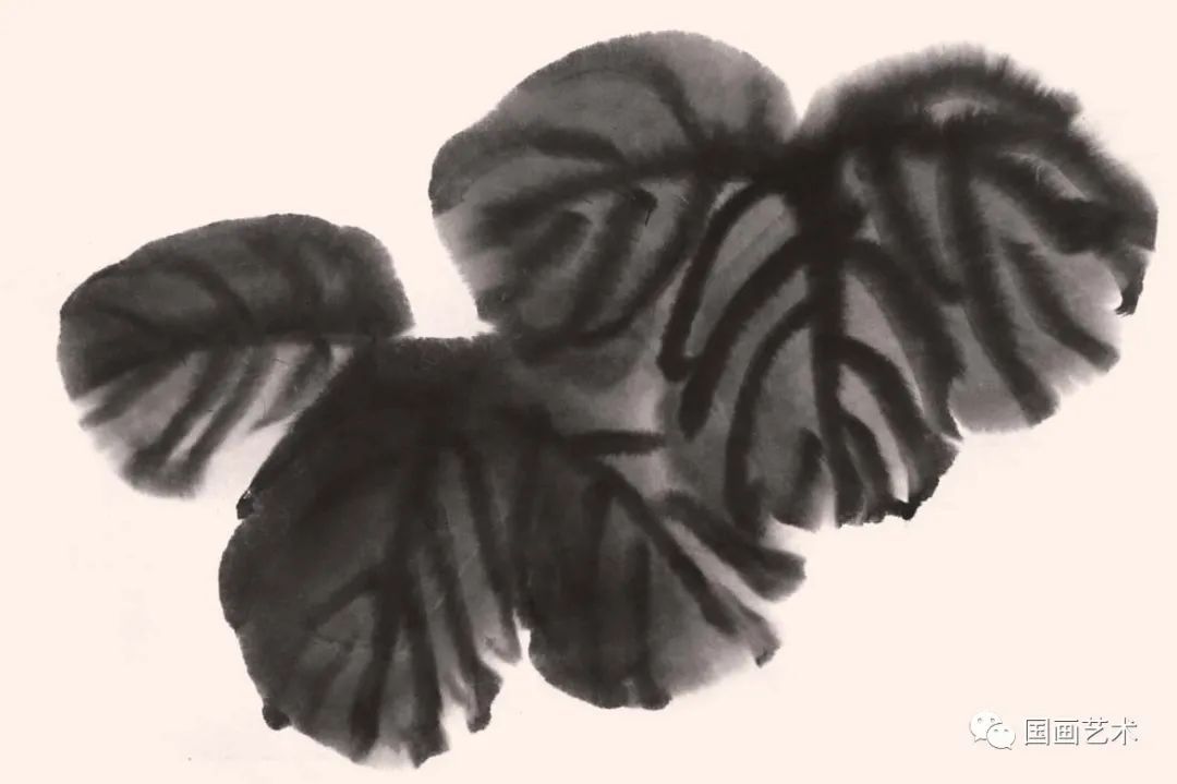 浓淡！图文教程——轻松学画喇叭花