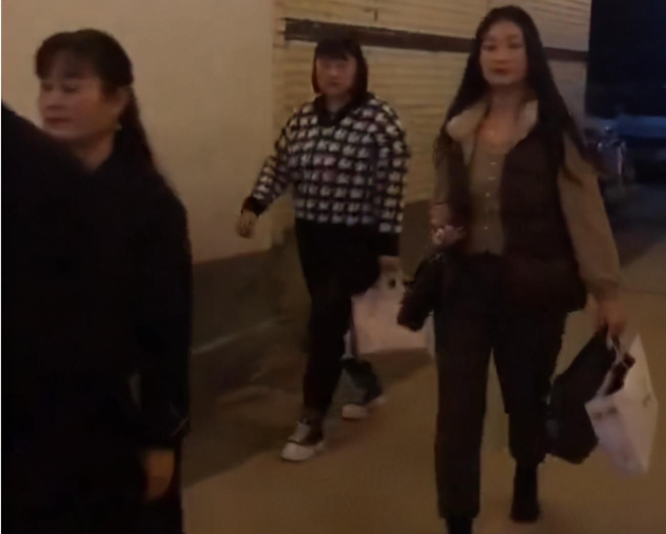 朱之文女儿认真打扮并不丑，千格鸟上衣配小黑裤，同框弟媳显高挑