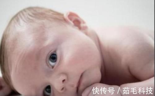 婴儿|婴儿进入“认生期”,需要及时的引导,容易培养出聪明的宝宝