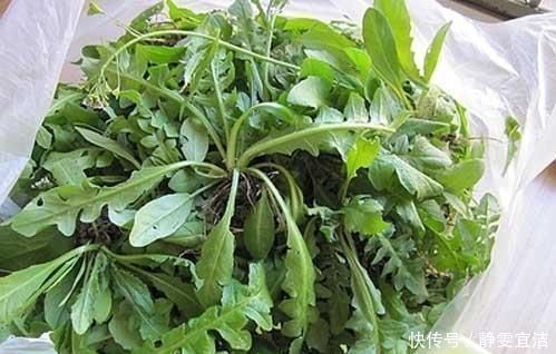 你吃过这道菜吗最喜欢吃这道菜的人