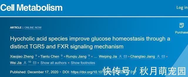 降糖药|糖尿病有新突破！我国发现猪胆汁能长期平稳血糖，成治愈新契机