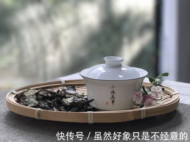 煮白茶的独门秘籍是什么选散茶还是饼茶这份硬核清单告诉你