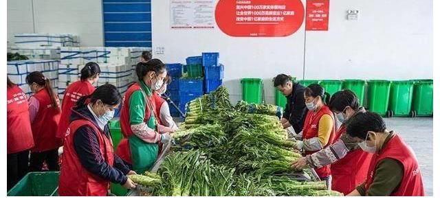 马云|人民日报点名表扬后，阿里这项业务又“立功”！