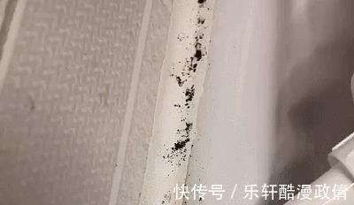 厨房再大,水槽边也别空着!瞧瞧聪明人这样布置,高级美观又实用