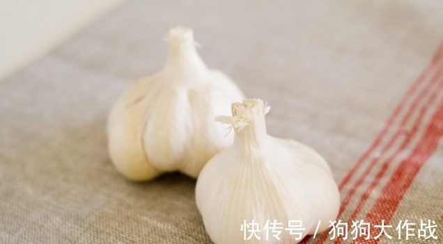 养花期间杀菌消毒用什么好？有厨房常见物大蒜、小苏打就够了