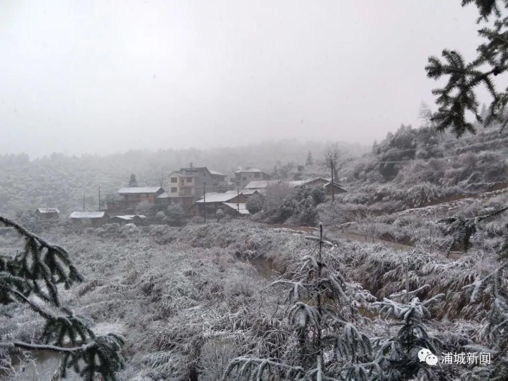 闽北雪景美图合集来啦～真正银装素裹，宛若琉璃世界！