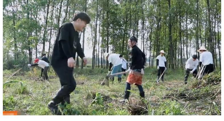 彭彭|《向往5》下期：蘑菇屋一家翻身成仓库股东，艺兴彭彭太狂了！