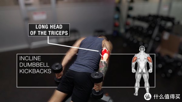 动作|只有哑铃，该如何训练肱三头肌？