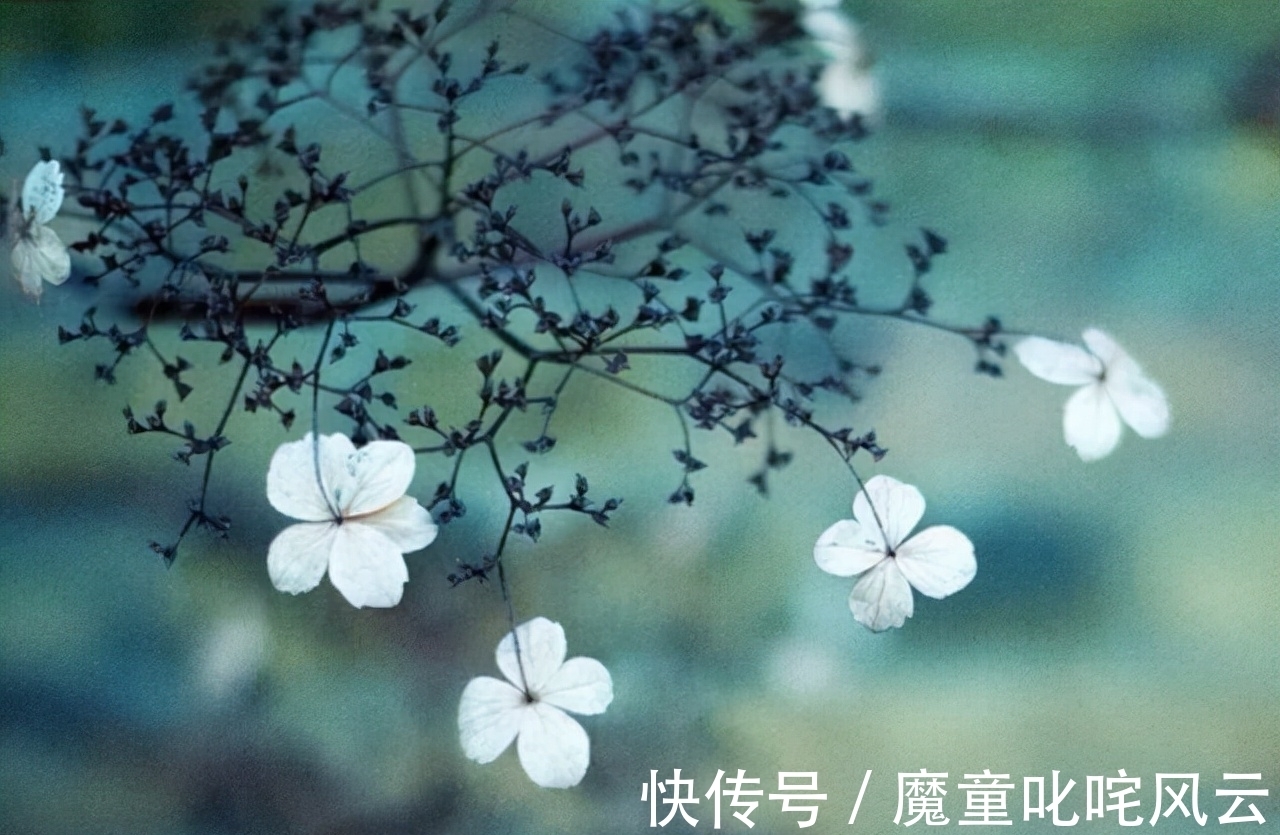 另一方面|这个星座,确实完美主义,比处女座有过之而无不及