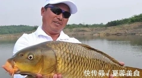 钓鱼颗粒粉这样搭配,鲫鲤鱼马上咬钩,根本停不下来