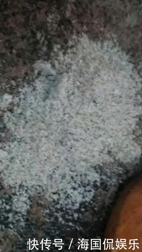 每周|三天两头吃点它,对眼睛好,孩子吃还补营养,我家每周都吃3次