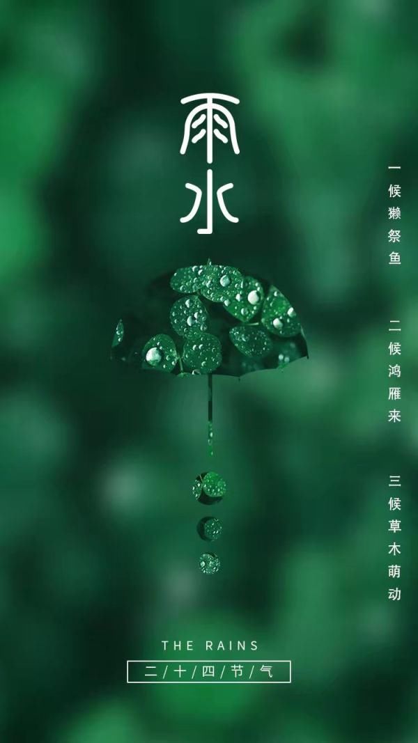 春雨为何贵如油？|节令之美·雨水| 节气