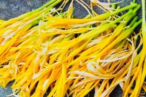 黄菜花|天然“暖宫菜”找到了,宫寒的女性经常吃,改善失眠预防宫寒!