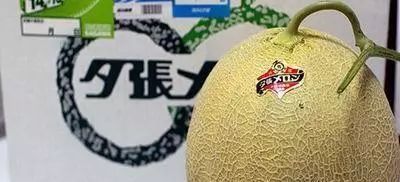 草莓|世界上最贵的水果,吃过3种以上的都是土豪啊