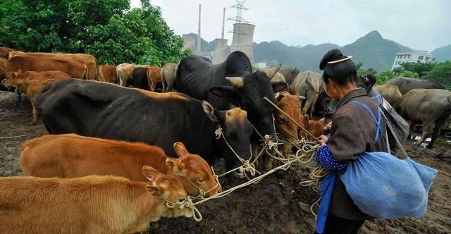  富贵|战国时期农民不种地却能发财其实能看懂时代的人都能富贵