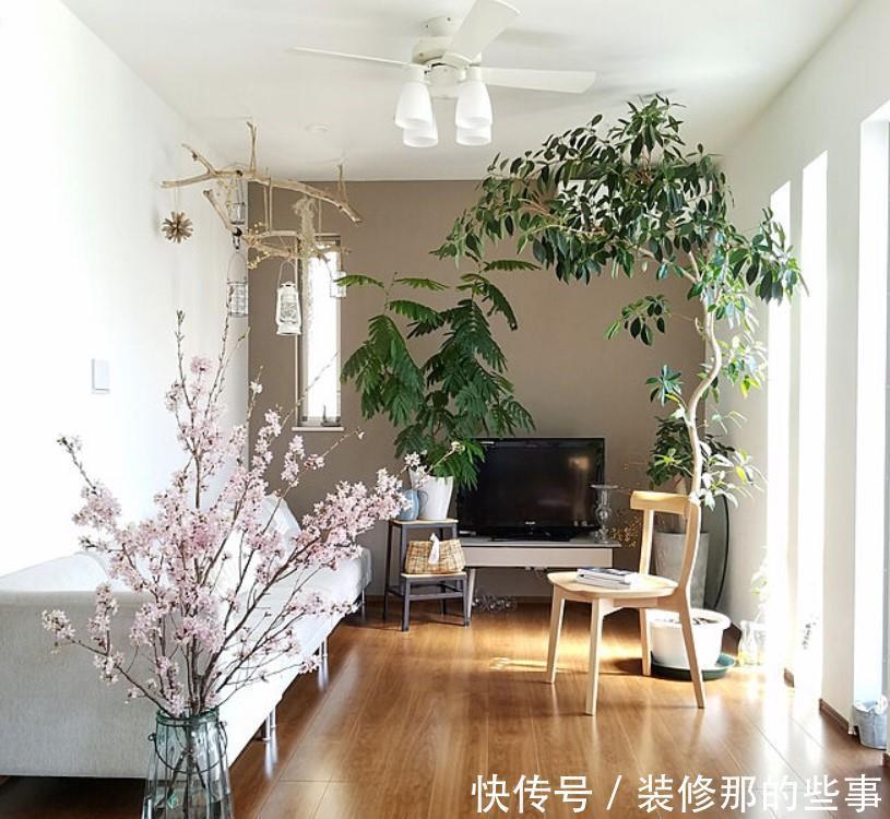 小两口之家,全屋布满绿植鲜花,把生活过成了诗,太美太治愈了