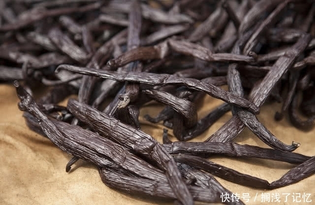 米其林|米其林大厨“最梦寐以求”的四种食材!外观却一个比一个怪异