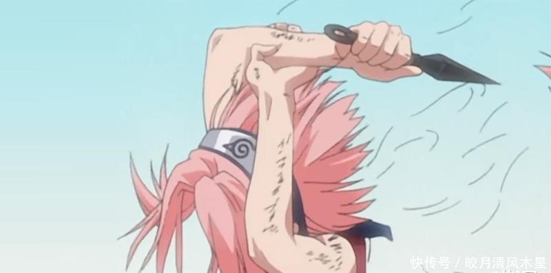 鸣人|火影为什么男火迷都喜欢雏田,女火迷更喜欢小樱!