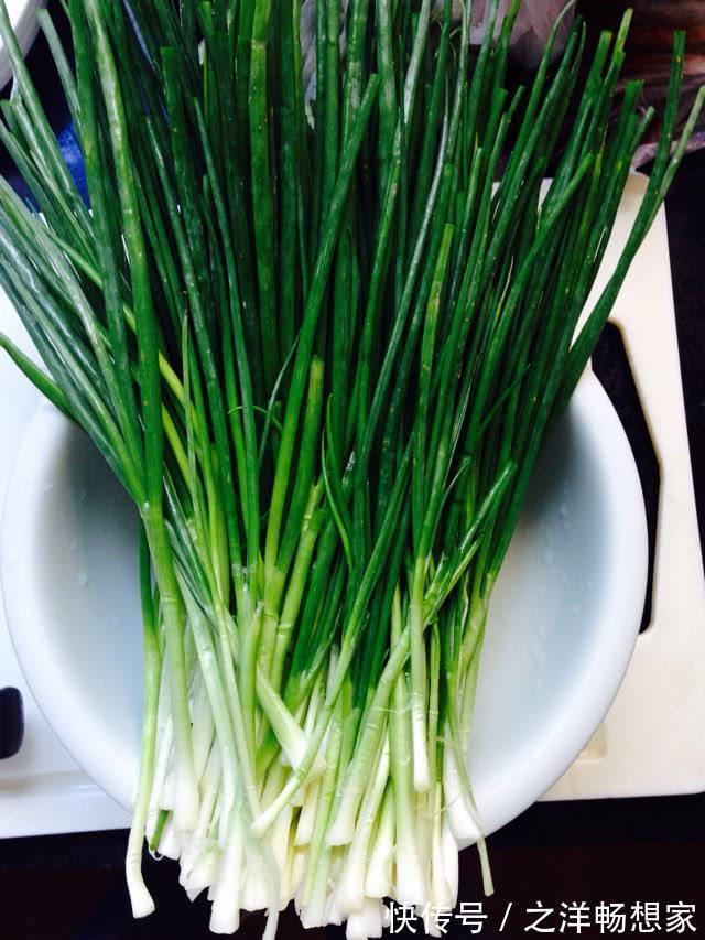 阳台小葱,又细又黄教你一招,根根粗壮,一抓一把吃不完!
