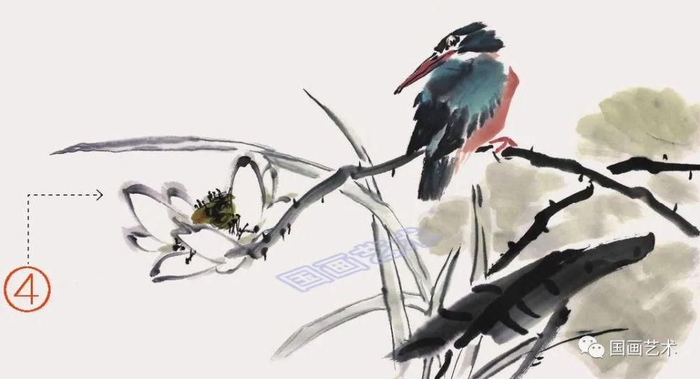  绘制出翠鸟|图文教程：轻松学画黄鹂、翠鸟