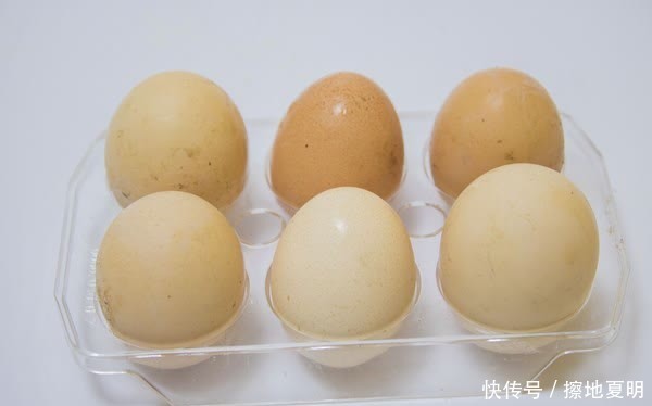 吃肉|有高血脂的人,天天吃鸡蛋和肉,血脂会产生什么变化?一起看看