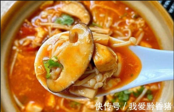 减脂|减脂必备的番茄豆腐菌菇汤,教你简单四步就会做