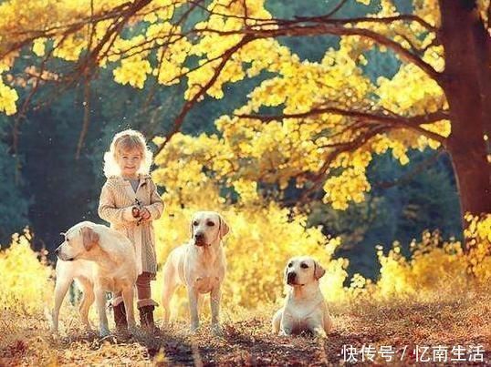 小朋友|上小学前,家长要“逼”孩子做到这3件事,能让他少受欺负