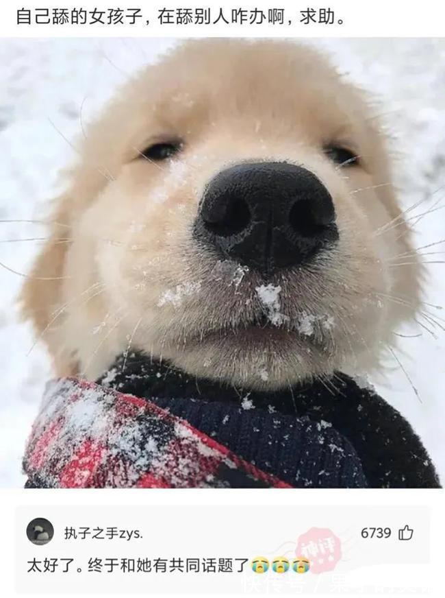 七仙女!“孙悟空定住了七仙女,为何什么都没干呢?”神评太优秀了哈哈哈