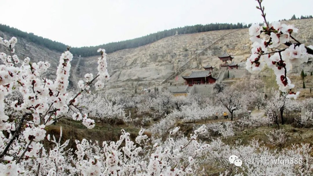 唐诗三百首@中国天南地北有几十个杏花村,杜牧《清明》诗中的杏花村是哪个?