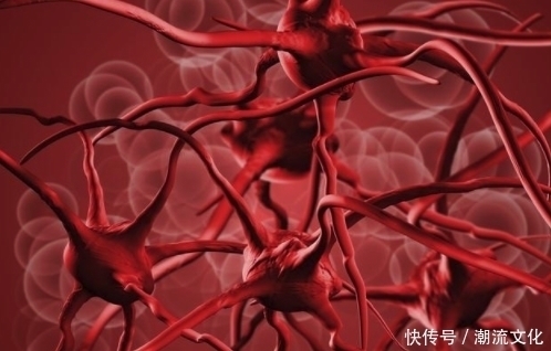 血液|天然“化栓王”被发现,早晚来点,赶跑血管垃圾,血栓慢慢消失