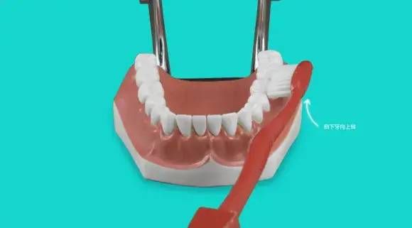 刷牙|5岁男孩突发急性肾炎，病根竟然是在口腔里