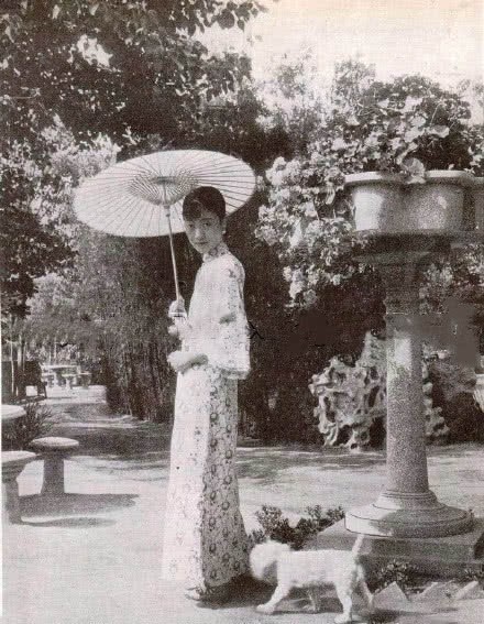 重拍|永远无法“重拍”的瞬间,检阅日军的溥仪,遛狗的皇后,牵手游沙漠的宋美龄