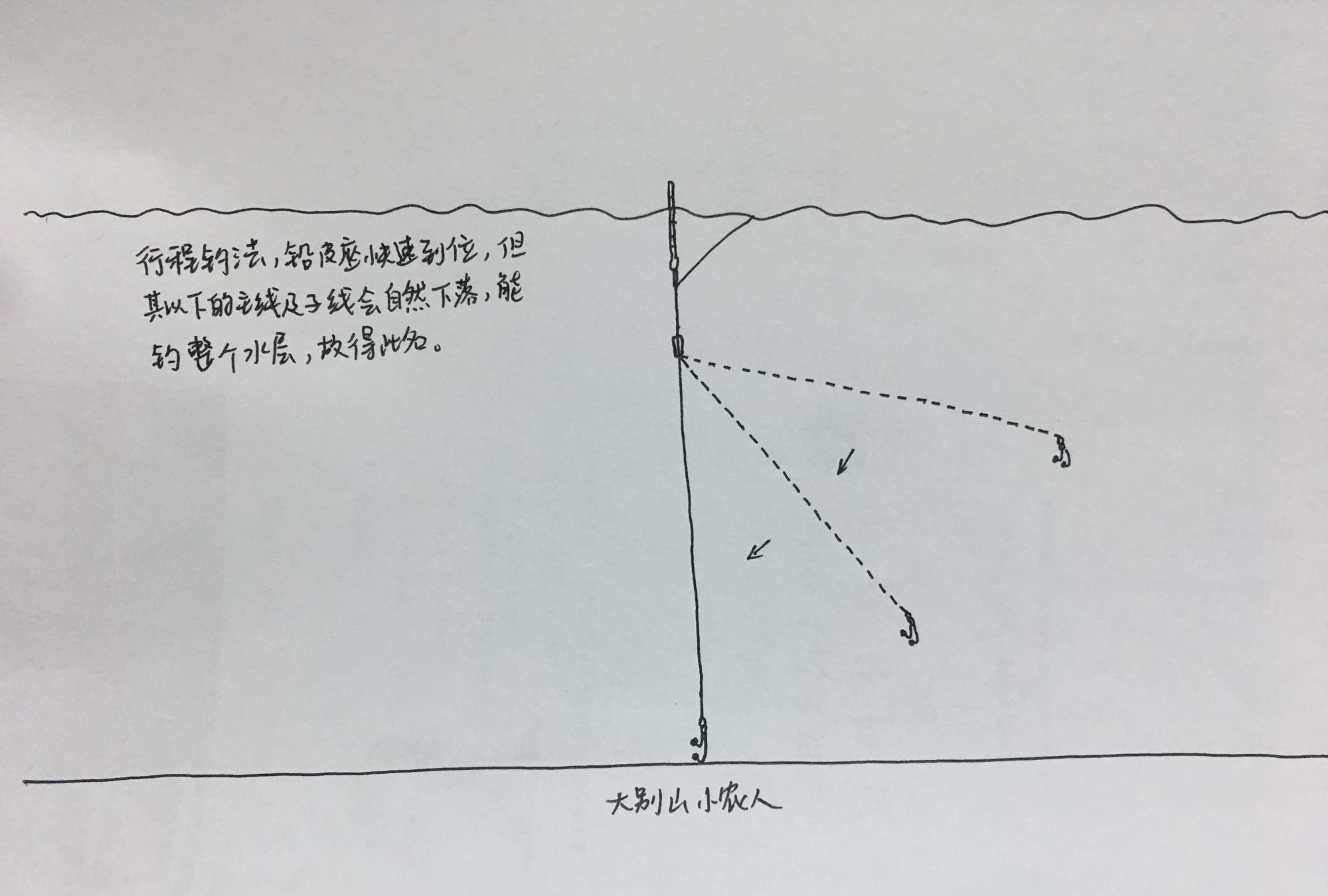 饵料|白条随便一点饵料就想糊弄我上鱼要想持久,就得这么干