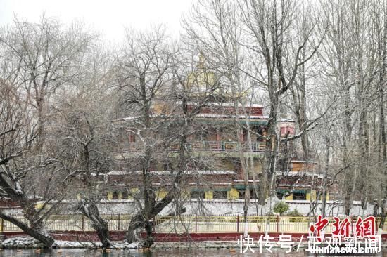 雪景|拉萨雪景美如画