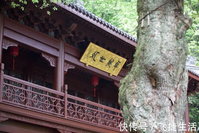 永福寺|紧挨灵隐寺还有一座寺庙，1600年历史还不用门票，很多游客不知道