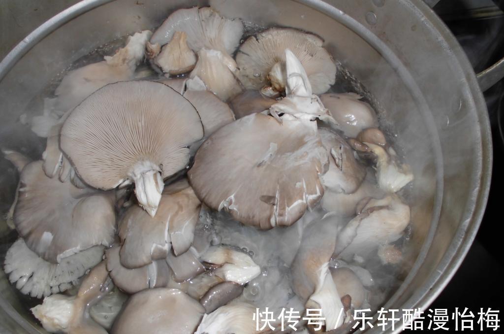 平菇|大热天,减脂最该多吃这菜,有荤有素,减脂瘦身,好吃不怕胖