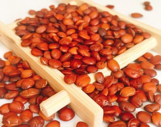 治疗失眠牢记“一味中药”,养血、安神、清热