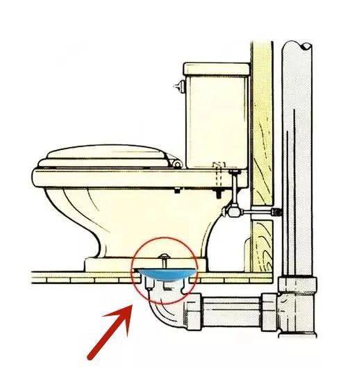 防臭|刚装好的卫生间有臭味？快检查一下，这些防臭措施有没有做到位