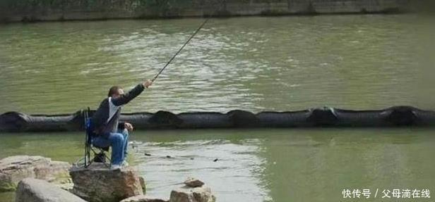 夏季专攻大草饵料配方，偷偷用了几年才拿出来分享